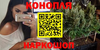 Альфа ПВП Кунгур