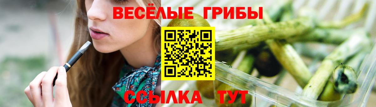 Снежинск  Псилоцибиновые грибы GOLDEN TEACHER  Галлюциногенные грибы мицелий  Вход с VPN 